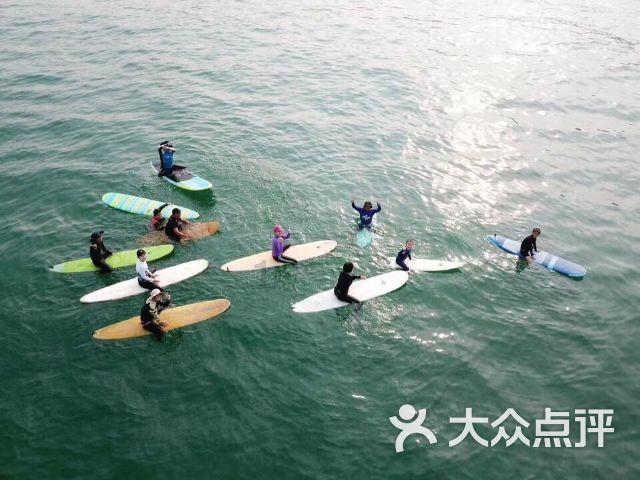 道奇蝰蛇找不同