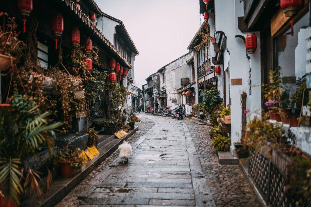 可爱兔子营救